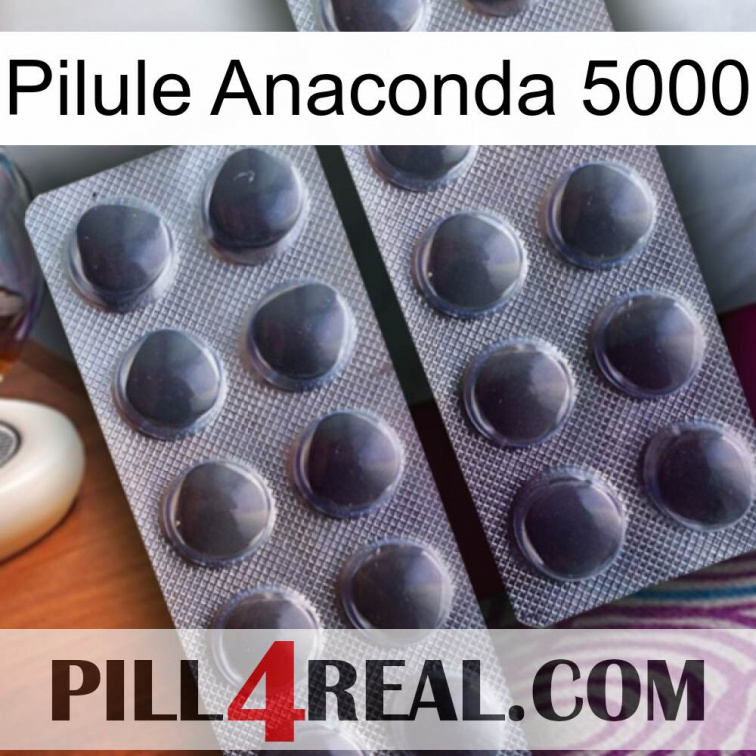 Anaconda 5000 Pill 31
